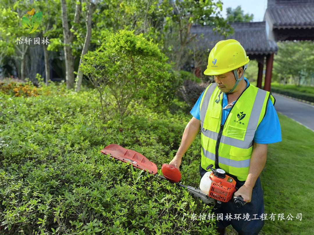 惠州绿色动力厂区日常养护工作